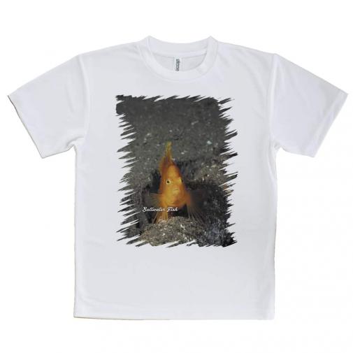 【Tシャツ】熱帯魚　No.10　ウイゴンベ