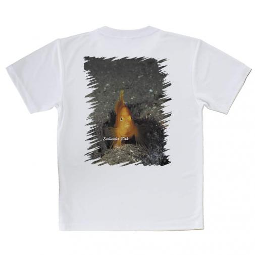 【Tシャツ】熱帯魚　No.10　ウイゴンベ