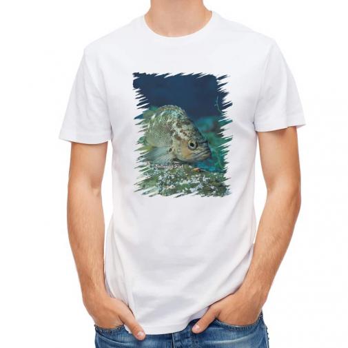 【Tシャツ】熱帯魚　No.11　メバル