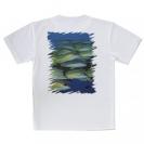 【Tシャツ】熱帯魚　No.14　ヨスジフエダイ