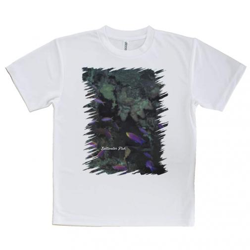 【Tシャツ】熱帯魚 No.15 ベラの飛翔