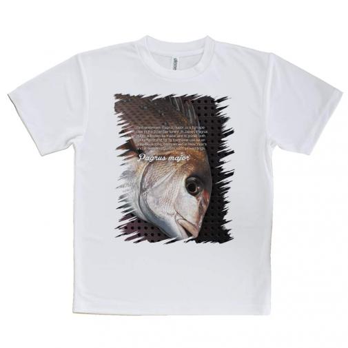 【Tシャツ】マダイ