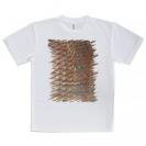 【Tシャツ】マダイのウロコ