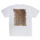 【Tシャツ】マダイのウロコ