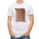 【Tシャツ】マダイのウロコ