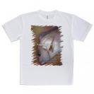 【Tシャツ】マダイのハーフトーン