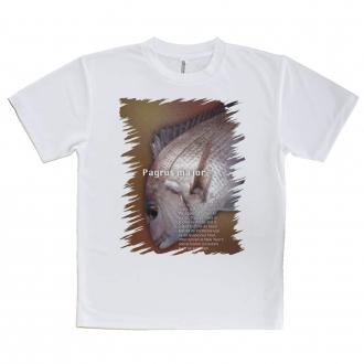 【Tシャツ】マダイのハーフトーン