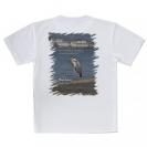 【Tシャツ】アオサギ