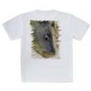 【Tシャツ】コイ(カープ)