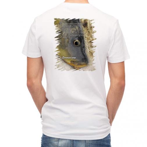 【Tシャツ】コイ(カープ)