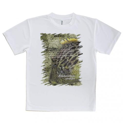 【Tシャツ】カワハギ