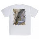 【Tシャツ】タマン(ハマフエフキ)