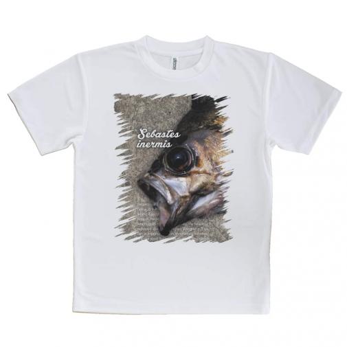 【Tシャツ】メバルの目