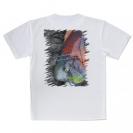 【Tシャツ】アオブダイ