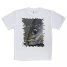 【Tシャツ】イサキ