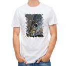 【Tシャツ】イサキ