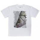 【Tシャツ】ヒラスズキの目