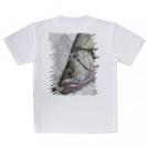 【Tシャツ】ヒラスズキの目