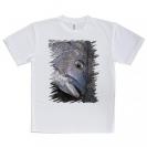 【Tシャツ】年無しチヌ