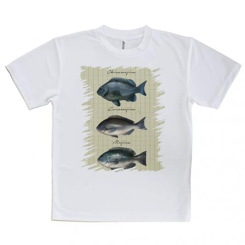 【Tシャツ】メジナの仲間