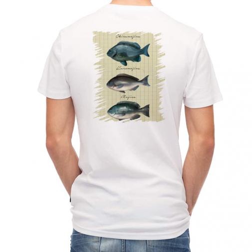 【Tシャツ】メジナの仲間