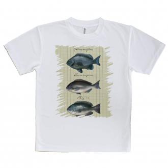 【Tシャツ】メジナの仲間