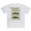 【Tシャツ】オオクチバス(ラージマウスバス)とコクチバス(スモールマウスバス)