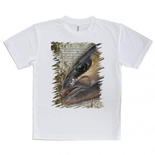 【Tシャツ】カンパチ グレーターアンバージャック