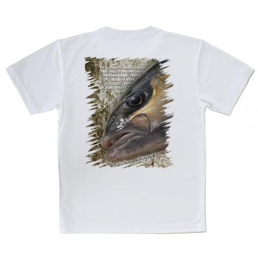 【Tシャツ】カンパチ　グレーターアンバージャック