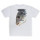 【Tシャツ】チヌ(クロダイ)　ポリコン・デザイン