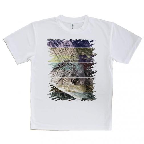 【Tシャツ】チヌ(クロダイ)　12カラーズ