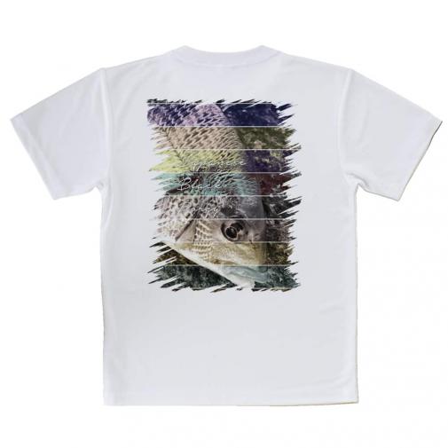 【Tシャツ】チヌ(クロダイ)　12カラーズ