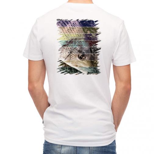 【Tシャツ】チヌ(クロダイ)　12カラーズ