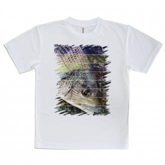 【Tシャツ】チヌ(クロダイ)　12カラーズ
