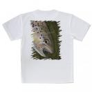 【Tシャツ】ブラウントラウトの目