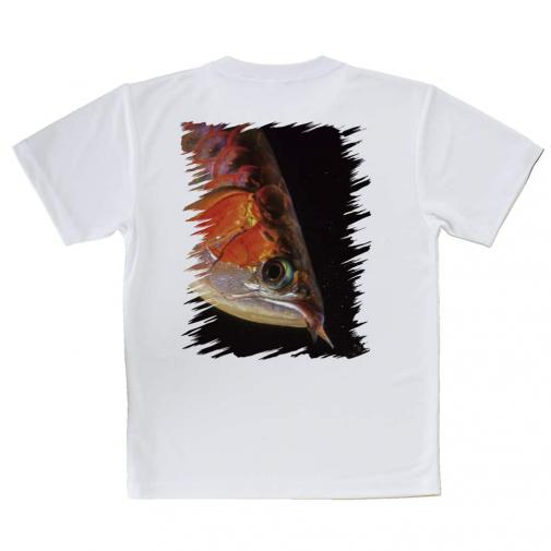 【Tシャツ】アロワナの目