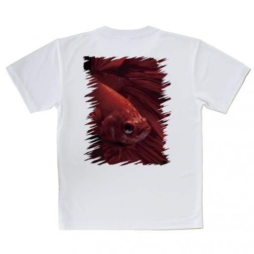 【Tシャツ】トラディショナル・ベタ　レッド