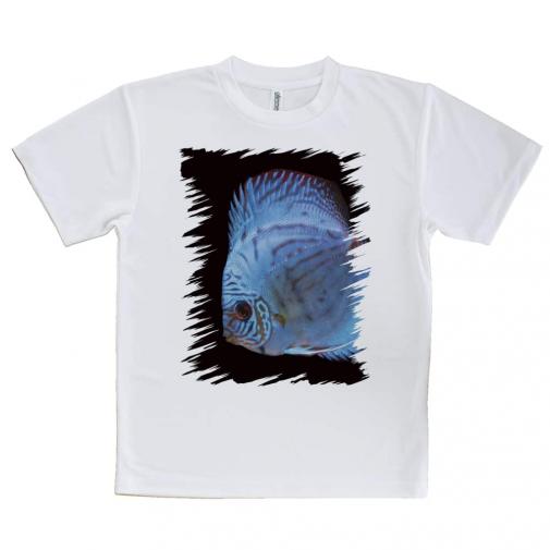 【Tシャツ】ディスカス ブルー