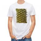 【Tシャツ】ゴールデンテンチの鱗