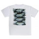 【Tシャツ】ウロコ　ブルーパール