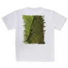 【Tシャツ】パイク　鉄錆