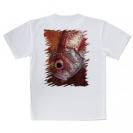 【Tシャツ】アカムツ(ロージーシーバス)