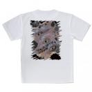 【Tシャツ】ケンサキイカ