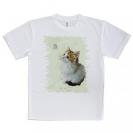 【Tシャツ】春の午後　蝶と子猫