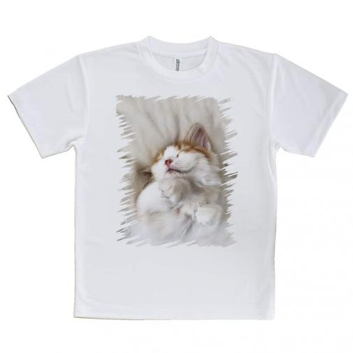 【Tシャツ】昼寝する猫(ネコ)