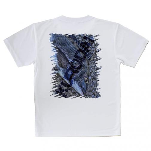 【Tシャツ】クロダイ(チヌ)のHDR