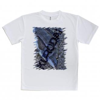 【Tシャツ】クロダイ(チヌ)のHDR