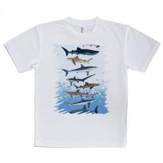 【Tシャツ】サメ・シャーク・鮫　鮫の種類