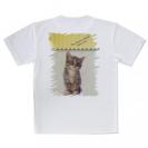 【Tシャツ】kitten sits　座る子猫