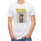 【Tシャツ】kitten sits　座る子猫